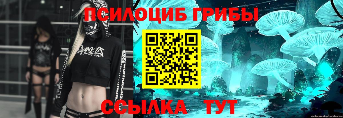 Псилоцибиновые грибы мицелий Ачхой-Мартан