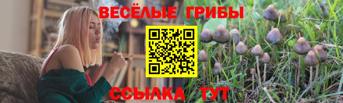Галлюциногенные грибы Magic Shrooms  Галлюциногенные грибы Cubensis  где можно купить наркотик  Вход с VPN  Ачхой-Мартан 
